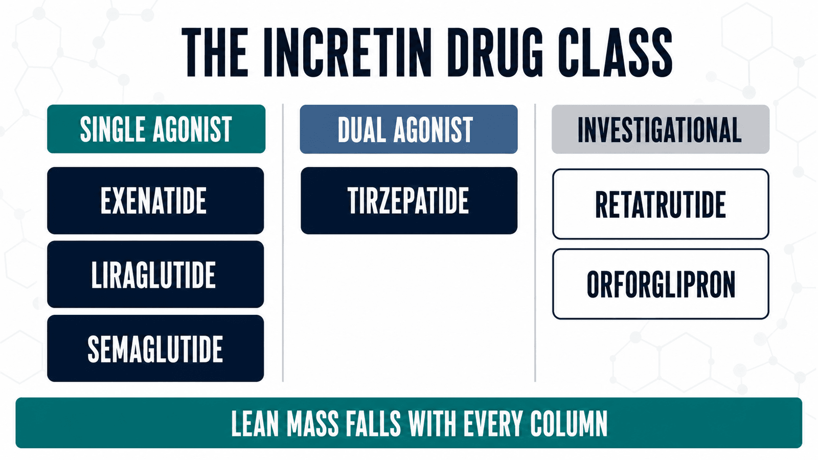 GLP-1 medications class map showing single agonist, dual agonist, and investigational incretin drugs and their shared lean mass effect